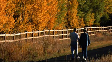 couple walking in wooded area